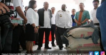 Terima Kasih, Pak Jokowi! Harga 1 Sak Semen Rp 500 Ribu ab5a25c64711825c8911c930569639ba.jpg;,,jpg;3,480x